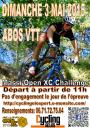 Affiche abos 2015